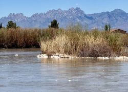 Cruces River in Poza Rica