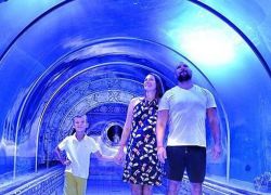 Marine Biology Museum in Hurghada