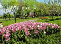 Soğanlı Botanical Park in Bursa