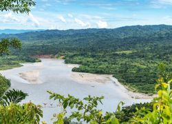 Amacayacu National Park in Amazonas