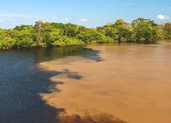 The Meeting of the Waters in Amazonas