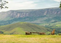 Serra Da Canastra National Park in Minas Gerais