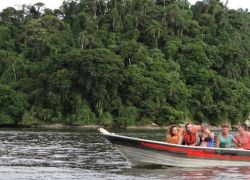 Superagui National Park in Paranagua