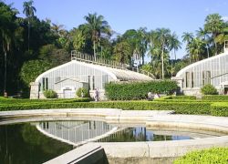 Jardim Botanico de Sao Paulo in Sao Paulo