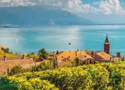Lavaux Vineyards in Montreux