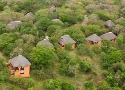 Hluhluwe–iMfolozi Park in Durban