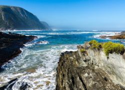 Tsitsikamma National Park in Eastern Cape