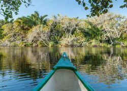 Greater St Lucia Wetlands Park in Kwazulu Natal