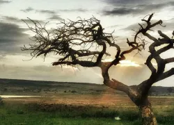 Spioenkop Dam Nature Reserve in Kwazulu Natal