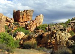 Cederberg in Western Cape