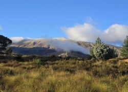 Matroosberg in Western Cape