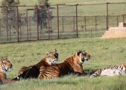 Bloemfontein Zoo in Bloemfontein