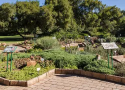 National Botanical Gardens in Bloemfontein