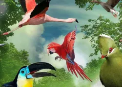 Birds of Eden Bird Sanctuary in Garden Route