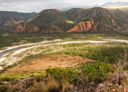 Eden to Addo Biodiversity Corridor in Garden Route