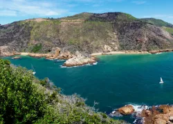 Featherbed Nature Reserve in Garden Route