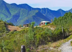 Outeniqua Nature Reserve in Garden Route