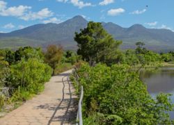 Garden Route Botanical Garden in George