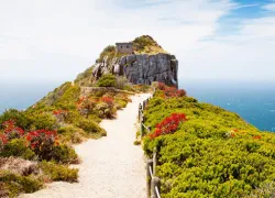 Cape Recife Nature Reserve in Gqeberha