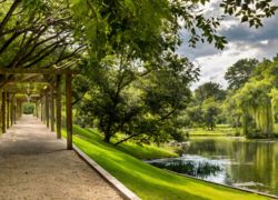 Shepherd’s Fold Stables in Krugersdorp