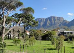 Keurboom Park in Landsdown