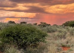 Vaalbos National Park in Northern Cape