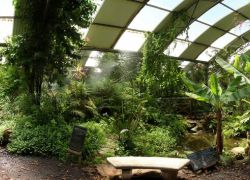 Butterfly World in Stellenbosch