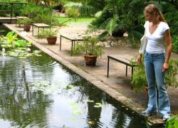 Stellenbosch University Botanical Garden in Stellenbosch