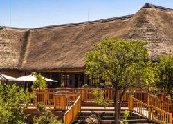 Rhino Museum in Vaalwater