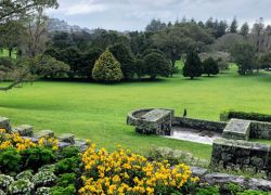 Cornwall Park in Auckland