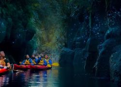 Glow Worm Kayaking in Bay Of Plenty