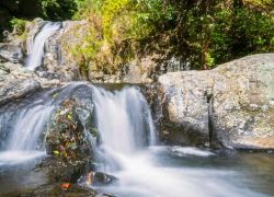 Kaiate Falls in Bay Of Plenty