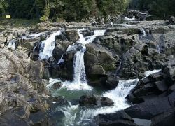McLaren Falls Park in Bay Of Plenty