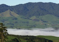 Sanctuary Mountain Maungatautari in Hamilton