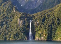 Stirling Falls in Milford Sound