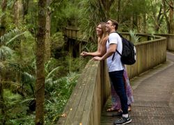 A. H. Reed Memorial Park in Whangarei