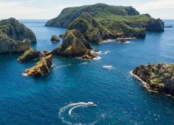Poor Knights Islands Marine Reserve in Whangarei