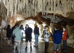 Waipu Caves in Whangarei