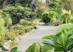 Whangarei Quarry Gardens in Whangarei