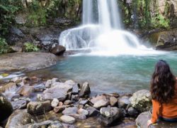 Waiau Falls in Whitianga