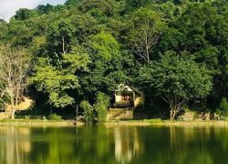 Cuc Phuong National Park in Hanoi