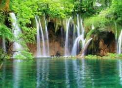 Cuc Phuong National Park in Ninh Binh