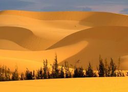 Red Sand Dunes in Phan Thiet