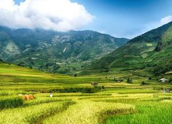 Tu Le Valley in Yen Bai