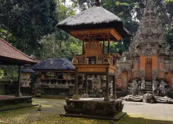 Monkey Forest Sanctuary in Bali