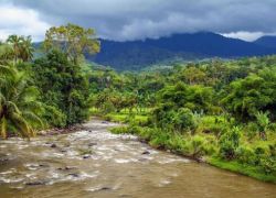 Berbak National Park in Sumatra