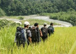 Gunung Leuser National Park in Sumatra