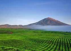 Kerinci Seblat National Park in Sumatra