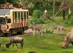 Bali Zoo in Denpasar
