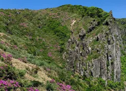 Hallasan National Park in Jeju
